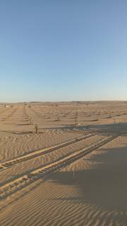 مشروعات الاستثمار