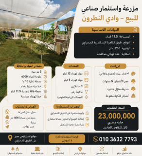 مزرعه20فدان للبيع بوادى النطرون