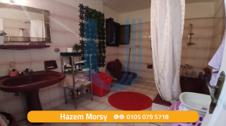 امتلك شقه بالاسكندريه في الحضرة الجديده على المحموديه